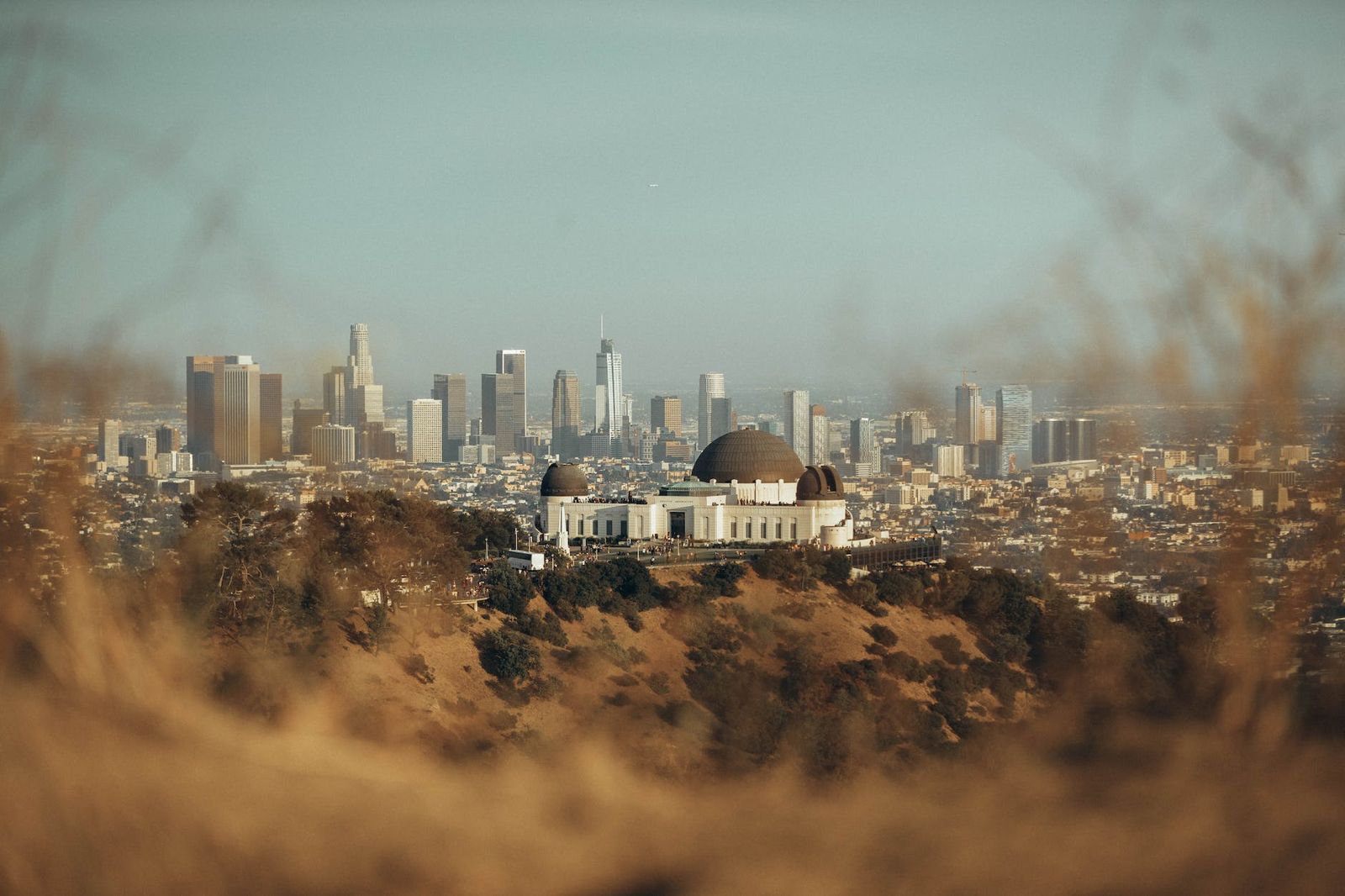 View of Griffith Observatory and the Los Angeles skyline from the hills above Los Feliz